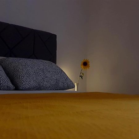 ベオグラードCasa Bella - Vracarアパートメント エクステリア 写真